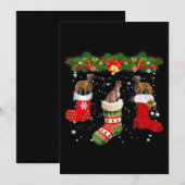グレイハウンドの犬3匹が靴下を履いたクリスマスのサンタ シーズンカード (正面/裏面)