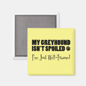 グレイハウンドは甘やかされていない私はちょうど十分に訓練を受けている マグネット (正面/裏面)