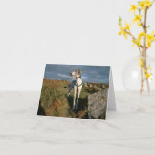 グレイハウンドを青くする カード (黄色い花)