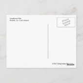 グレイハウンドアイリッシュパブポストカード ポストカード (裏面)