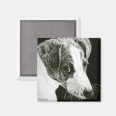 グレイハウンドアップ磁石 – "Paddy" マグネット (正面/裏面)