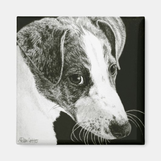 グレイハウンドアップ磁石 – "Paddy" マグネット (正面)