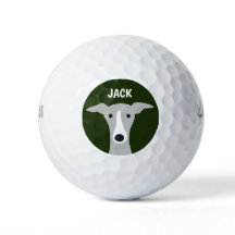 グレイハウンドイタリアンウィペット犬と名前をカスタムする