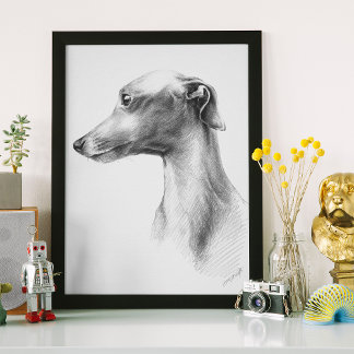 グレイハウンドイタリアンウィペット犬ポートレートスケッチアート ポスター