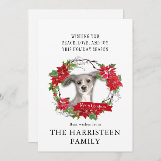 グレイハウンドイタリアンウォーター色ポインセチアのクリスマス シーズンカード (正面/裏面)
