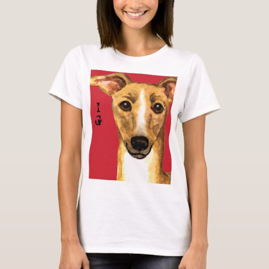 グレイハウンドイタリアンカラーブロック Tシャツ (正面)