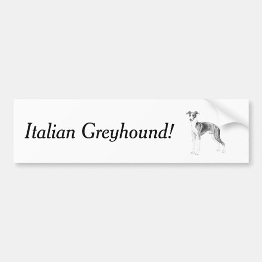 グレイハウンドイタリアンスタイル バンパーステッカー (正面)