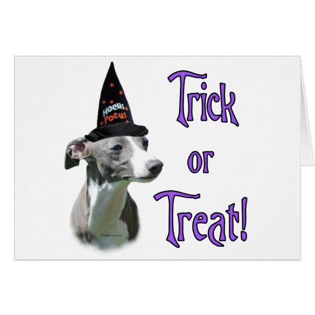 グレイハウンドイタリアントリック (正面横)