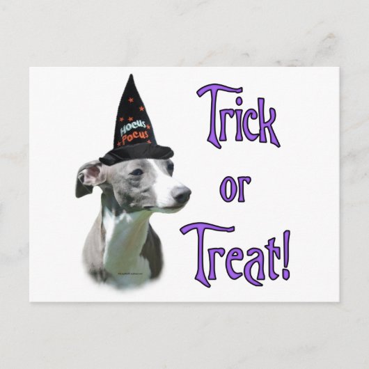 グレイハウンドイタリアントリック ポストカード (正面)