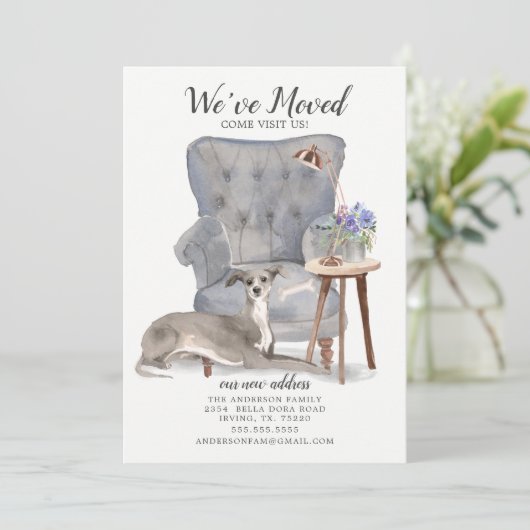 グレイハウンドイタリアンドッグ |お知らせ 案内状 (スタンド正面)