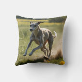 グレイハウンドエレガント装飾用クッション クッション (裏面)