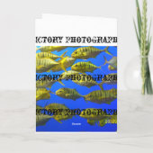 グレイハウンドカード カード (裏面)