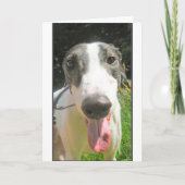 グレイハウンドカード カード (正面)