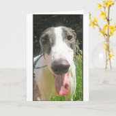 グレイハウンドカード カード (黄色い花)