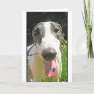 グレイハウンドカード カード