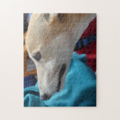 グレイハウンドジグソーパズル ジグソーパズル (縦)