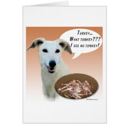 グレイハウンドトルコ