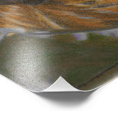 グレイハウンドビーチ フォトプリント            (角)