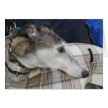 グレイハウンドフォトカード