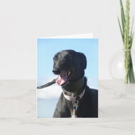 グレイハウンドフォトカード(p11) カード