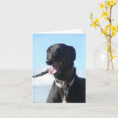 グレイハウンドフォトカード(p11) カード (黄色い花)