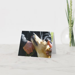 グレイハウンドフォトカード(p284) カード