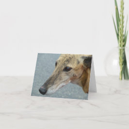 グレイハウンドフォトカード(p291) カード