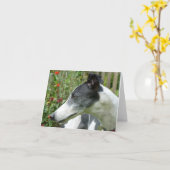 グレイハウンドフォトカード(p5) カード (黄色い花)