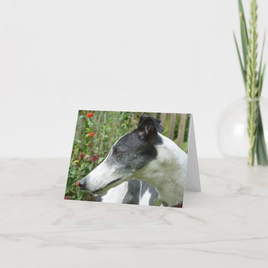 グレイハウンドフォトカード(p5) カード (正面)