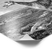 グレイハウンドブラックアンドホワイトイラストレーション フォトプリント (角)