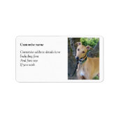 グレイハウンドラベル(p85) ラベル (正面)