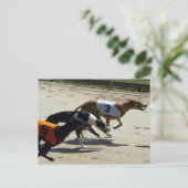 グレイハウンドレース ポストカード (スタンド正面)