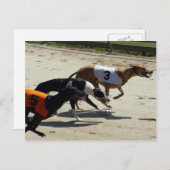 グレイハウンドレース ポストカード (正面/裏面)