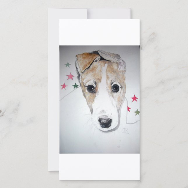 グレイハウンド子犬 (正面)