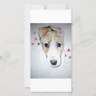 グレイハウンド子犬