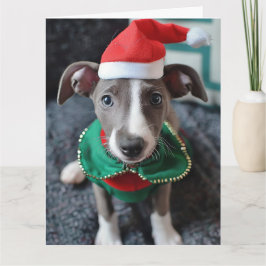 グレイハウンド小妖精や小人子犬クリスマスカード カード