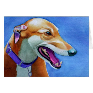 グレイハウンド救助犬