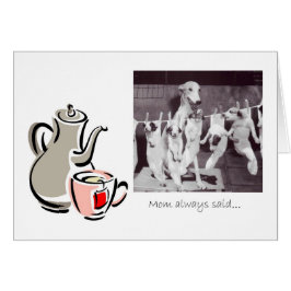 グレイハウンド母からの茶のアドバイス