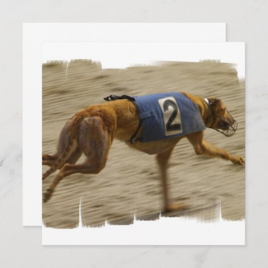 グレイハウンド犬の招待状の競争 招待状 (正面/裏面)