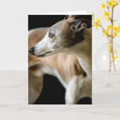 グレイハウンド犬グリーティングカード カード (黄色い花)