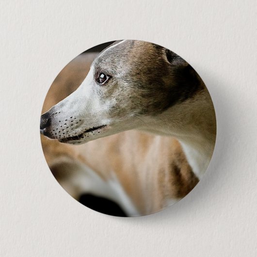 グレイハウンド犬ボタン 缶バッジ (正面)