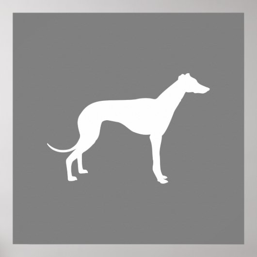 グレイハウンド犬 ポスター (正面)