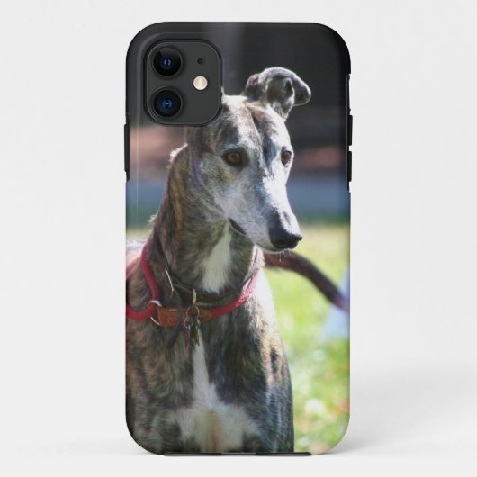 グレイハウンド犬 Case-Mate iPhoneケース (裏面)