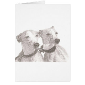 グレイハウンド