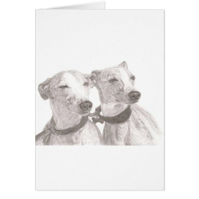 グレイハウンド (正面)