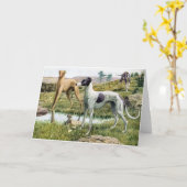 グレイハウンド カード (黄色い花)