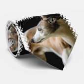 グレイハウンド ネクタイ (ロール)