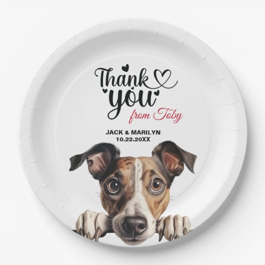 グレイハウンド ペーパープレート (正面)