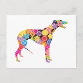 グレイハウンド ポストカード (正面)