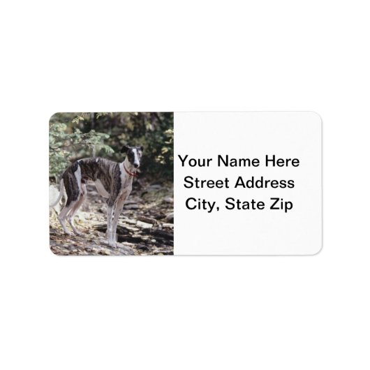 グレイハウンド ラベル (正面)